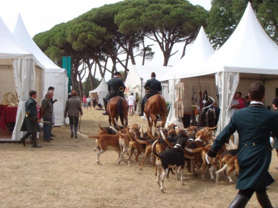 hunting and fishing exhibition in Château de Degrés